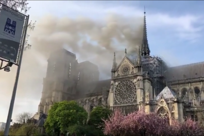 Названа вероятная причина пожара в соборе Парижской Богоматери