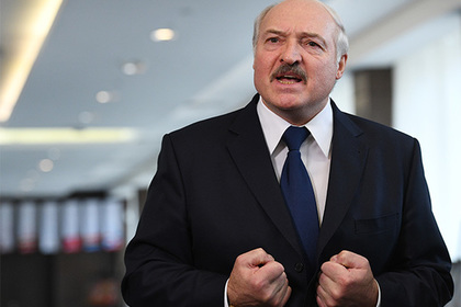 Лукашенко остался недоволен подходами к овцеводству