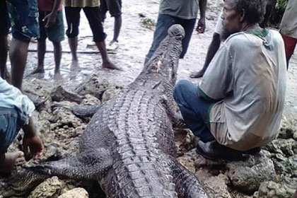 Трехметровому крокодилу-людоеду отомстили за убийство человека