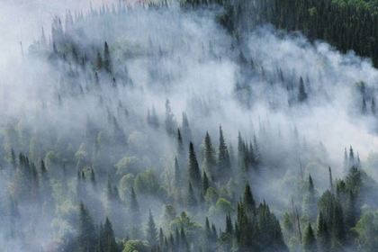 В МЧС ответили назвавшему бессмысленной борьбу с лесными пожарами губернатору