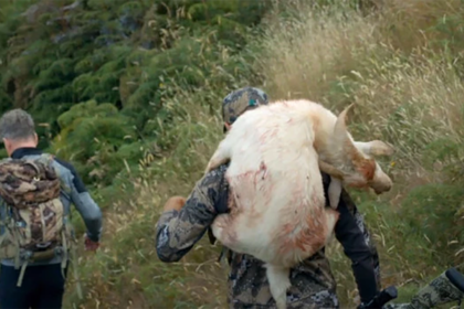 Известного телеведущего распекли за убийство и поедание козла в эфире