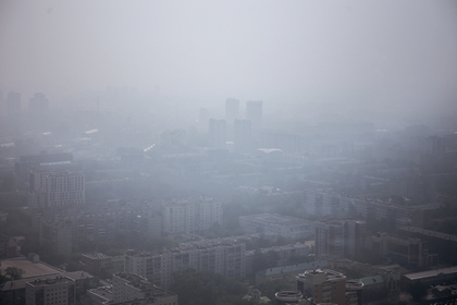 Названо условие появления в Москве дыма от сибирских лесных пожаров