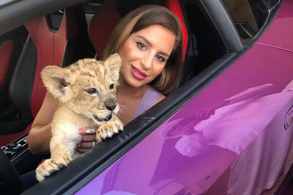 Блогерша позволила львенку поиграть в Lamborghini и пожалела