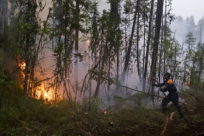 Названа причина увеличения площади лесных пожаров в России