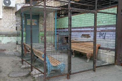Российский подъезд превратили в тюремную клетку